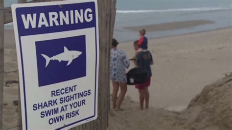 Police: Man dies after shark attack off Cape Cod - WSVN 7News | Miami News, Weather, Sports ...