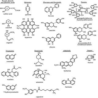 List of vectors of fastidious vascular-colonizing bacteria | Download Scientific Diagram