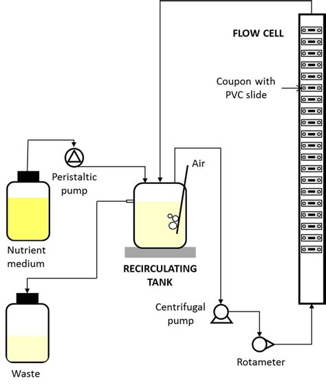 Schematic representation of the flow cell system. | Download Scientific Diagram