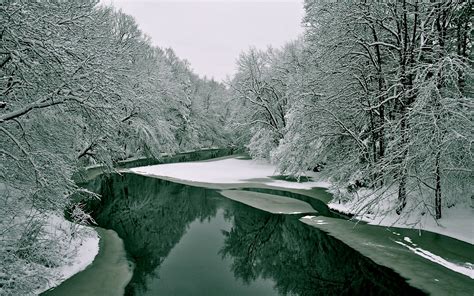 Wallpaper Trees Forest Monochrome Lake Water Nature Reflection