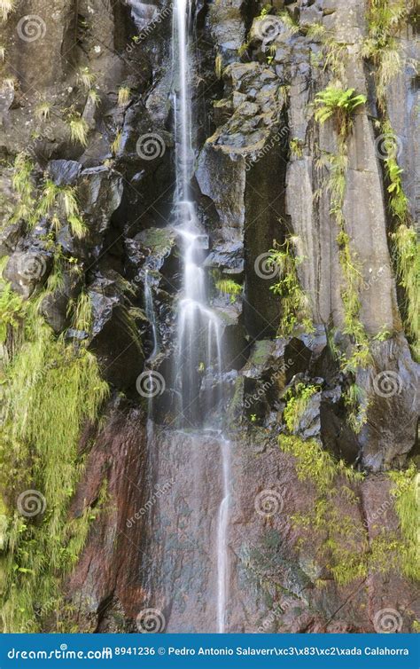 Waterfall Stock Photo Image Of Nature Beautiful Rain 8941236