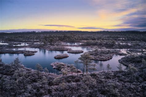 Winter Nature Landscape Sky Estonia Lake Swamp Wallpaper - Resolution ...