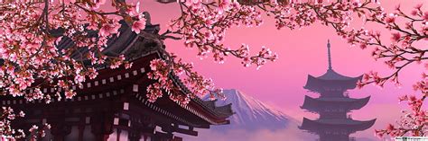 Cherry Blossom Pink Dual Monitor Hd Wallpaper Pxfuel