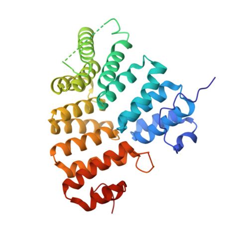 RCSB PDB 3CV0 Structure Of Peroxisomal Targeting Signal 1 PTS1