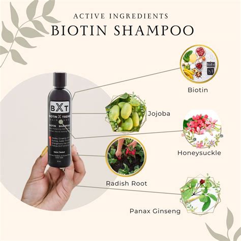 Biotin Shampoo for Thinning Hair & Hair Loss Men and Women – Biotin Xtreme Hair Care