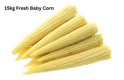 A Grade Yellow 15kg Fresh Baby Corn Packaging Type Carton At Rs 1350