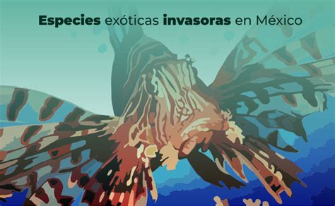 La Introducción De Especies Exóticas Invasoras Afecta La Biodiversidad Del País Procuraduria