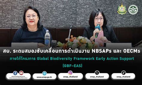 สผ ระดมสมองขับเคลื่อนการดำเนินงาน Nbsaps และ Oecms ภายใต้โครงการ