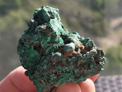 Pisolitic Malachite Mineralitum Exclusive Minerals Online Mineral