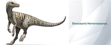 ⊛ Dinosaurios Carnívoros