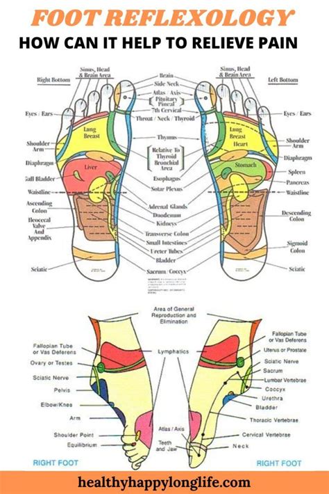 Foot Reflexology Benefits Health For The Whole Body Foot Reflexology