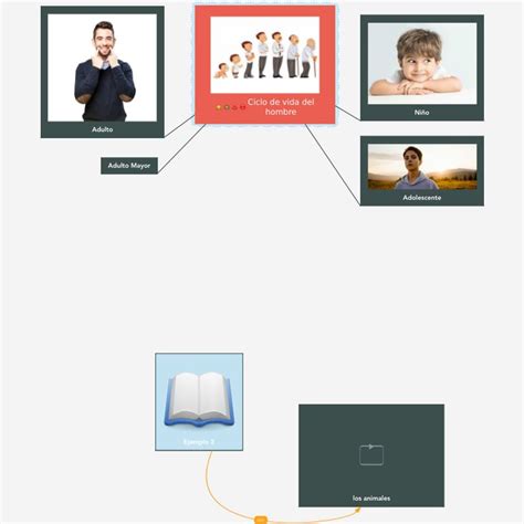 Ciclo De Vida Del Hombre Ciclos De Vida Vida Hombres