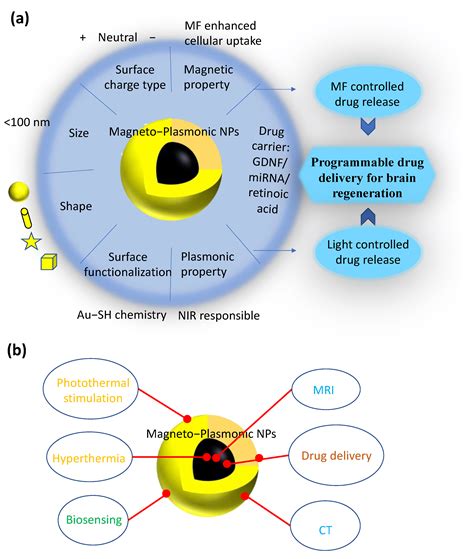 Nanomaterials Free Full Text Progress Opportunities And Challenges Of Magneto Plasmonic