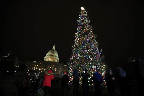 Photos 2018 Us Capitol Christmas Tree Lighting Wtop News