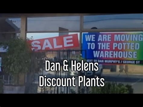 Dan & Helens Discount plants 🪴 PLANT SALE | New location - YouTube