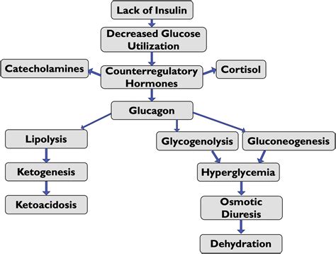 Evaluation And Management Of The Critically Ill Adult With Diabetic Ketoacidosis Journal Of