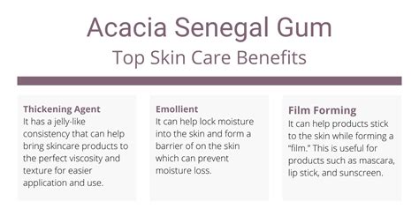 Acacia Senegal Gum for Skin - Skincare Benefits & Uses