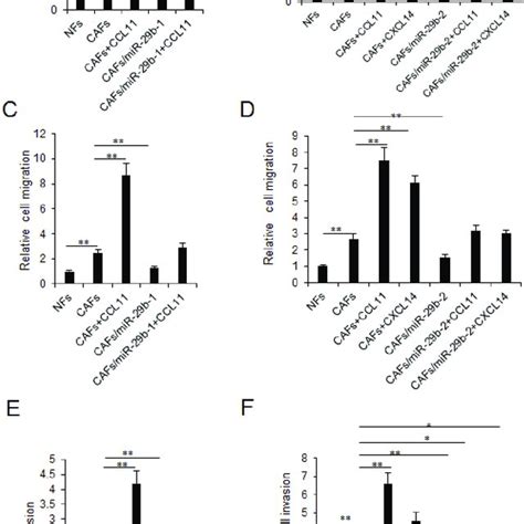 Mir 29b Restoration In Cafs Inhibits Breast Cancer Cellular Viability Download Scientific