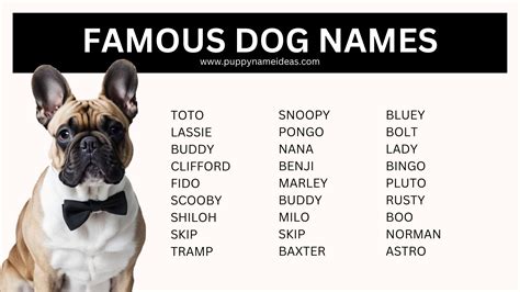 95+ Famous Dog Names - Puppy Name Ideas