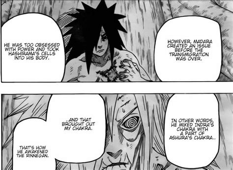 Hashirama Cells : Naruto