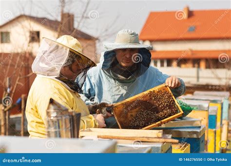 Cap Tulos De Una Colmena De La Abeja Apicultor Que Cosecha La Miel