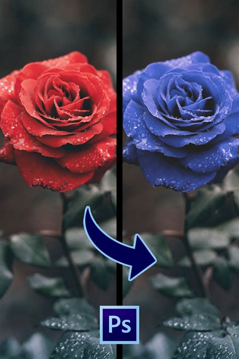 Come Cambiare Colore Ad Un Oggetto Con Photoshop Photoshop Colori