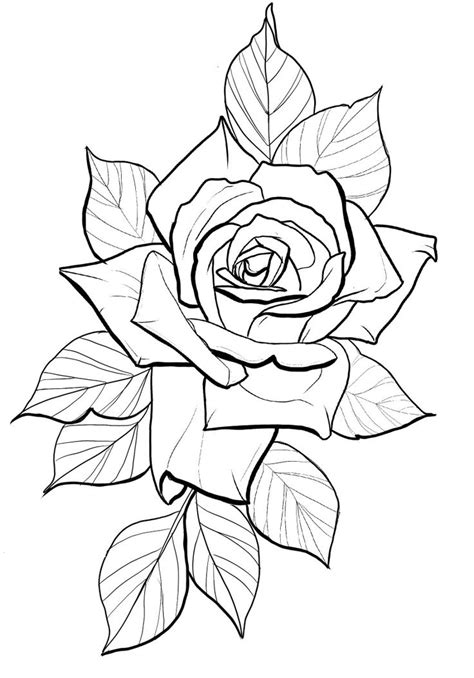 Rose Outline Roses Drawing Rose Drawing Tattoo Tattoo Design Book