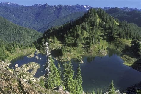 无人公园横图俯视航拍室外白天旅游度假湖湖泊美景森林山山脉树林水植物华盛顿美国阴影波纹光线影子