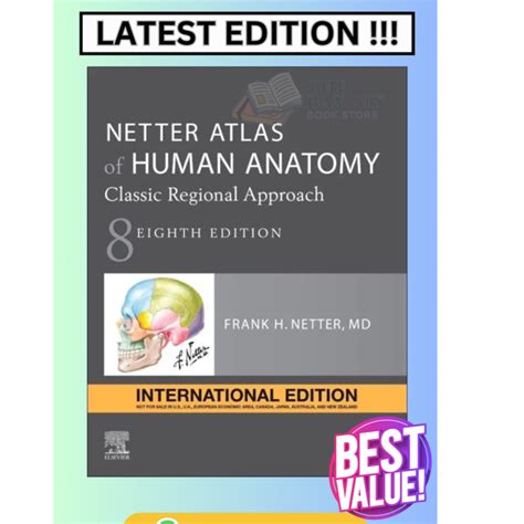 Netter Atlas Of Human Anatomy Classic Regional Approach International