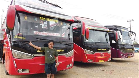 Full Sewa Bus Sumber Harapan Satu Satunya Bus Idola Masyarakat Rimbo