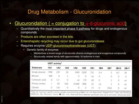 Ppt Drug Metabolism And Elimination Powerpoint Presentation Free