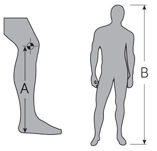 Goalie Leg Pad Size Chart - Ponasa