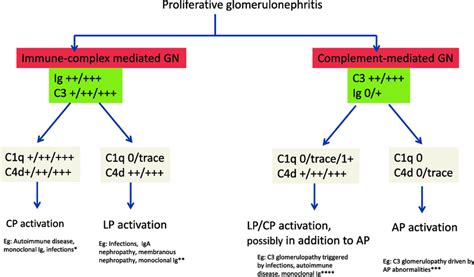 Proposed Role Of C4d And C1q In The Diagnosis Of Proliferative Gn