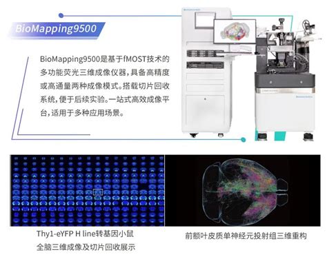 财政贴息政策：沃亿生物助力科研医疗设备更新改造 跨尺度三维成像财经头条