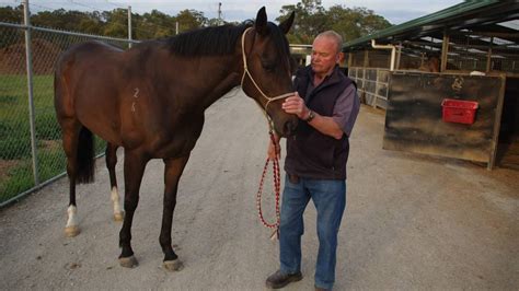 Goulburn Horse Trainer Graeme Spackman Has Died Of Cancer Aged 73 On