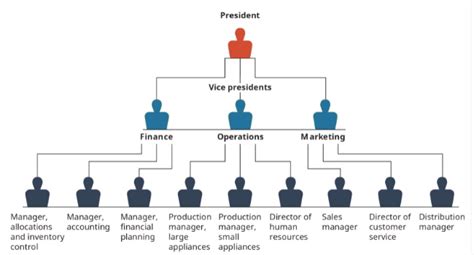 Melaleuca Pyramid Scheme Review Are The Scam Allegations True