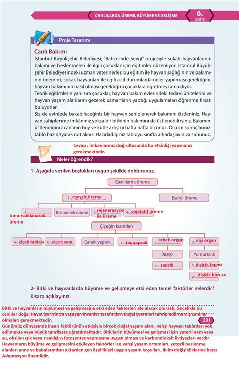 7 Sınıf Fen Bilimleri Meb Yayınları Sayfa 201 Cevapları