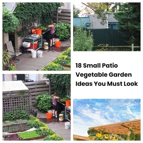 18 Small Patio Vegetable Garden Ideas You Must Look | SharonSable