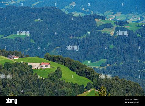 view   valley    pfaender stock photo alamy