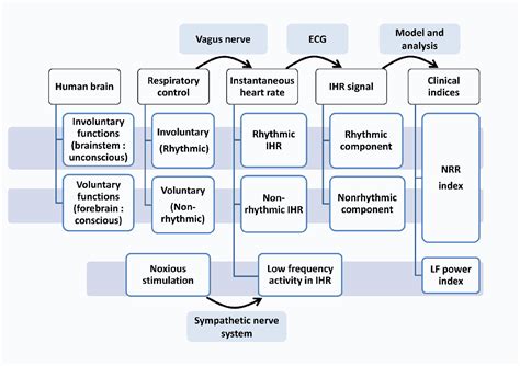 Figure 9 1 From The Modeling And Quantification Of Rhythmic To Non