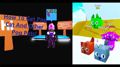 How To Get Pog Cat And Other Pog Pets In Pet Simulator X Youtube