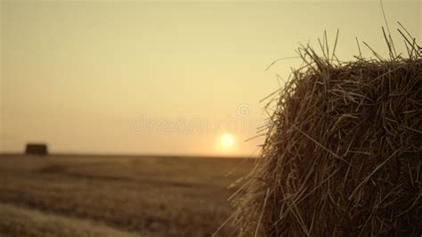 183 Hay Bale Sunset Silhouette Stock Photos - Free & Royalty-Free Stock ...