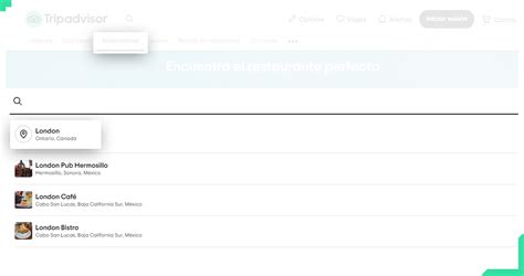 How To Perform Web Scraping Of Tripadvisor Restaurants Data