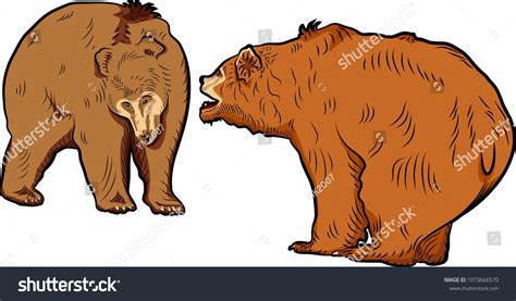 Colorful Sketch Battle Two Bears Stock Vector Royalty Free