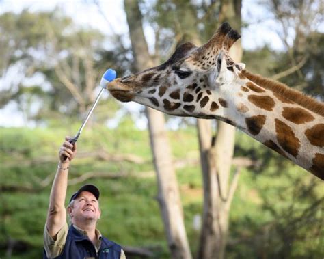 Breakthrough at Werribee Zoo | Wyndham