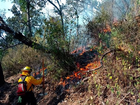 Controlan Incendio Forestal En El Volcán Santa María