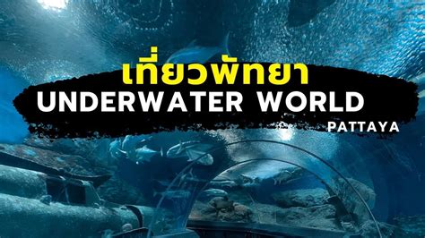 One free day เทยว Underwater world Pattaya YouTube