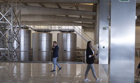 Inicio De Obras De La Planta Termosolar De Heineken En Im Genes