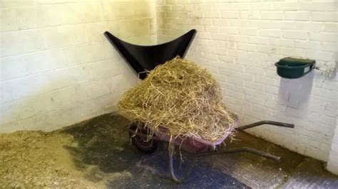 Flexible Stable Hay Feeder Hay Bar Large Horsecorner Mounted £88