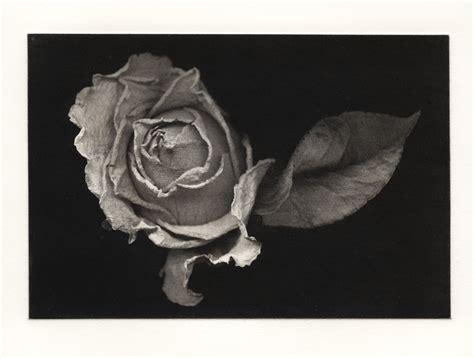 Jon Lybrook : Polymer Photogravure for More Photographic Intaglio Prints